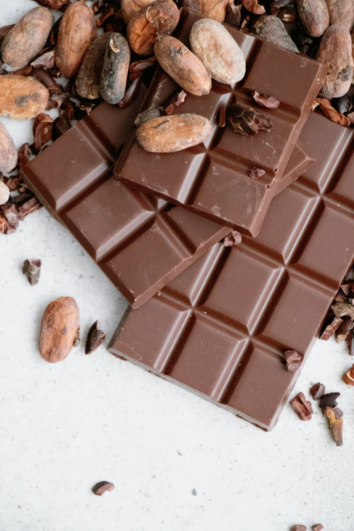 ERP for Chocolates