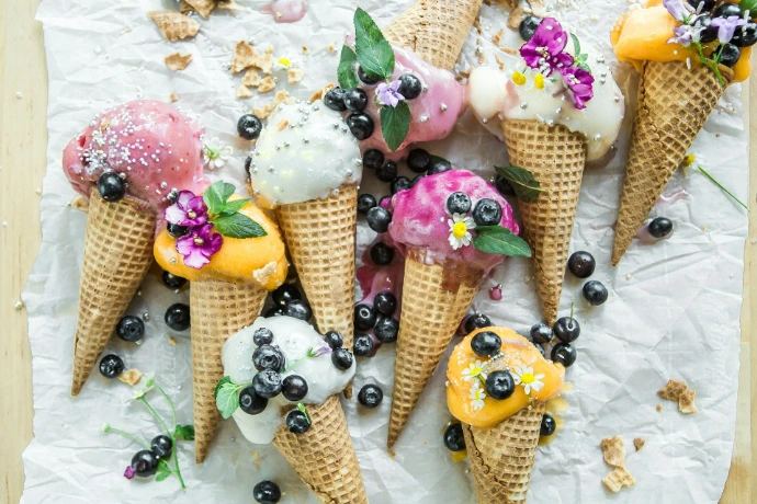 ERP for Ice Cream